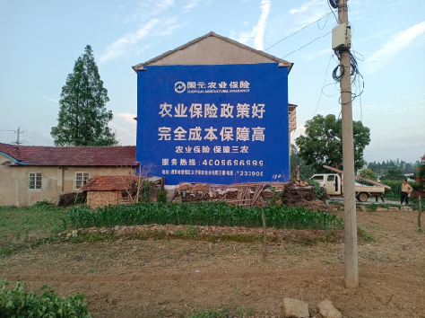 双牌墙体广告为何受追捧？